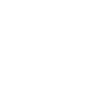 Logo col&Eacute;gio branco